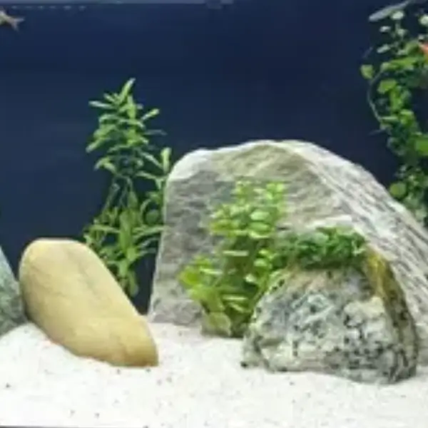 Areia de Rio no Aquário